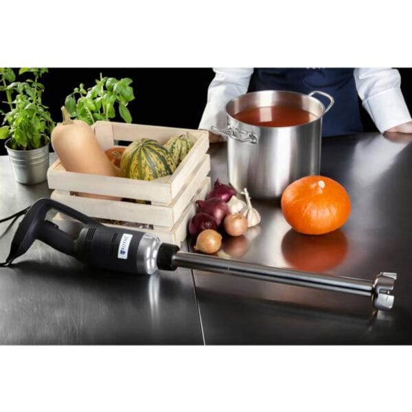 Mocny mikser blender robot ręczny dł. ramienia 300mm 500W 230V Royal Catering 6 10010398 6