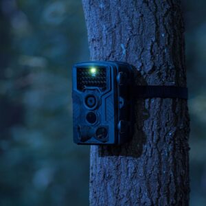 Fotopułapka kamera leśna z czujnikiem ruchu 8MP F-HD 20m IR LED USB 15 Fotopułapka kamera leśna z czujnikiem ruchu 8MP F-HD 20m IR LED USB - obrazek 8