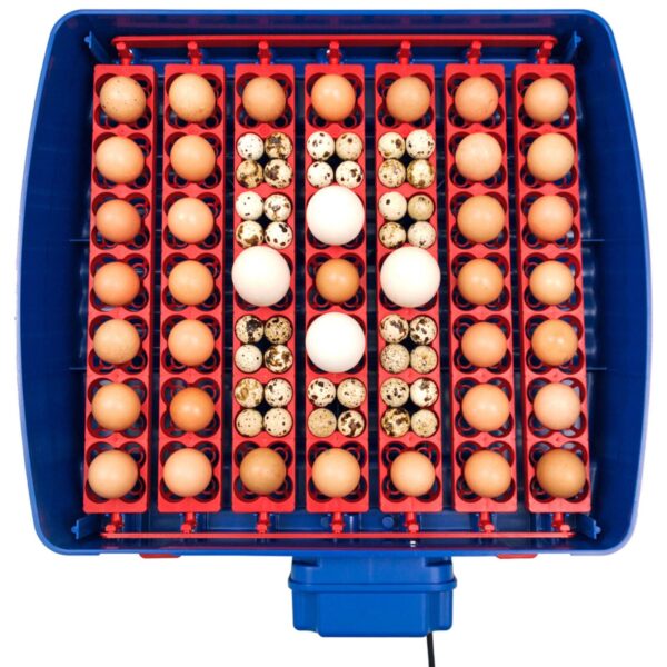 Inkubator wylęgarka do 49 jaj automatyczna z systemem nawilżania BIOMASTER 150 W 5 10370002 5