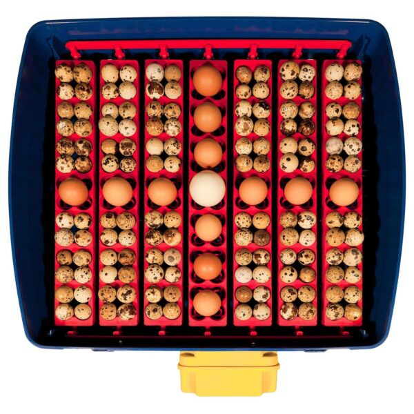 Inkubator klujnik do 49 jaj automatyczny z dozownikiem wody profesjonalny 150 W 4 10370005 4
