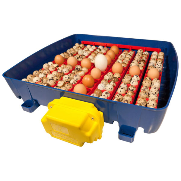 Inkubator klujnik do 49 jaj automatyczny z dozownikiem wody profesjonalny 150 W 5 10370005 5