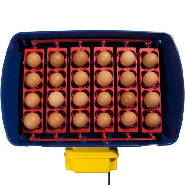 Inkubator klujnik do 24 jaj automatyczny z systemem nawadniania profesjonalny 100 W 5 10370007 5