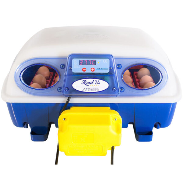 Inkubator klujnik do 24 jaj automatyczny z dozownikiem wody profesjonalny 100 W 1 10370008 1