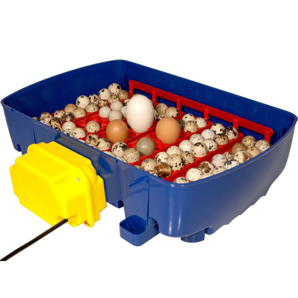 Inkubator klujnik do 24 jaj automatyczny z dozownikiem wody profesjonalny 100 W 6 10370008 6