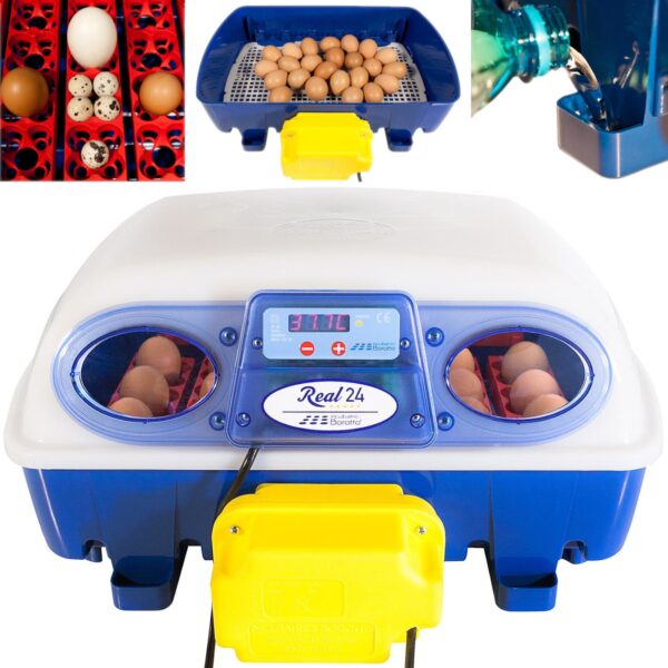 10370008-inkubator-klujnik-do-24-jaj-automatyczny-z-dozownikiem-wody-profesjonalny-100-w-ean-8068056992047-hurtownia-zielona-gora 10370008 inkubator klujnik do 24 jaj automatyczny z dozownikiem wody profesjonalny 100 w ean 8068056992047 hurtownia zielona gora