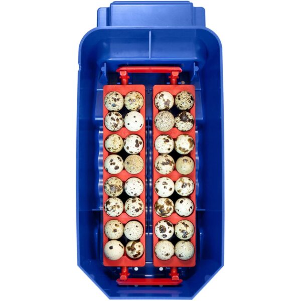 Inkubator klujnik do 8 jaj automatyczny z systemem nawilżania profesjonalny 50 W 4 10370009 4