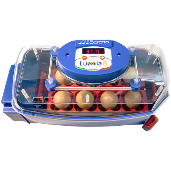 Inkubator klujnik do 8 jaj automatyczny z systemem nawilżania profesjonalny 50 W 5 10370009 5