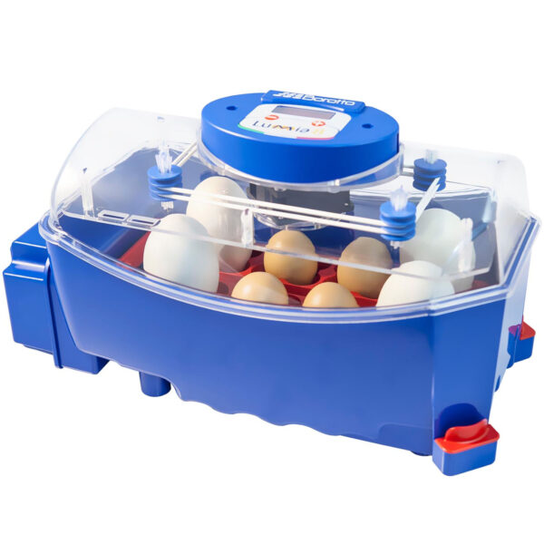 Inkubator klujnik do 8 jaj automatyczny z dystrybutorem wody profesjonalny 50 W 1 10370010 1