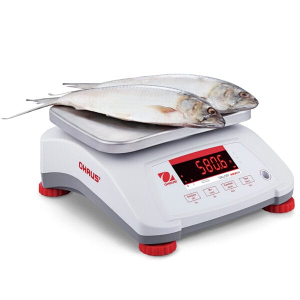 Waga VALOR 4000 z legalizacją kuchenna gastronomiczna wodoodporna IP68 LED 1.5Kg / 0.5g - OHAUS V41PWE1501T-M 2 30035653 3