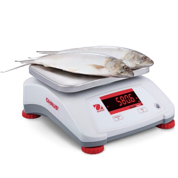 Waga kuchenna kontrolna wodoodporna IP68 VALOR 2000 30kg / 5kg - OHAUS V22PWE30T 3 30236101 3