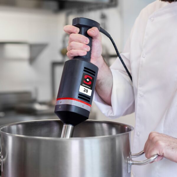 Mikser blender ręczny z ramieniem miksującym rozdrabniającym XM-21 300 W - Sammic 3030625 1 3030625 1