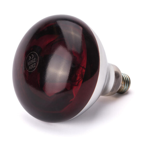 919217-hendi-dystrybutor-zarowka-na-podczerwien-do-lampy-do-podgrzewania-potraw-e27-250w-czerwona-zielona-gora 919217 hendi dystrybutor zarowka na podczerwien do lampy do podgrzewania potraw e27 250w czerwona zielona gora
